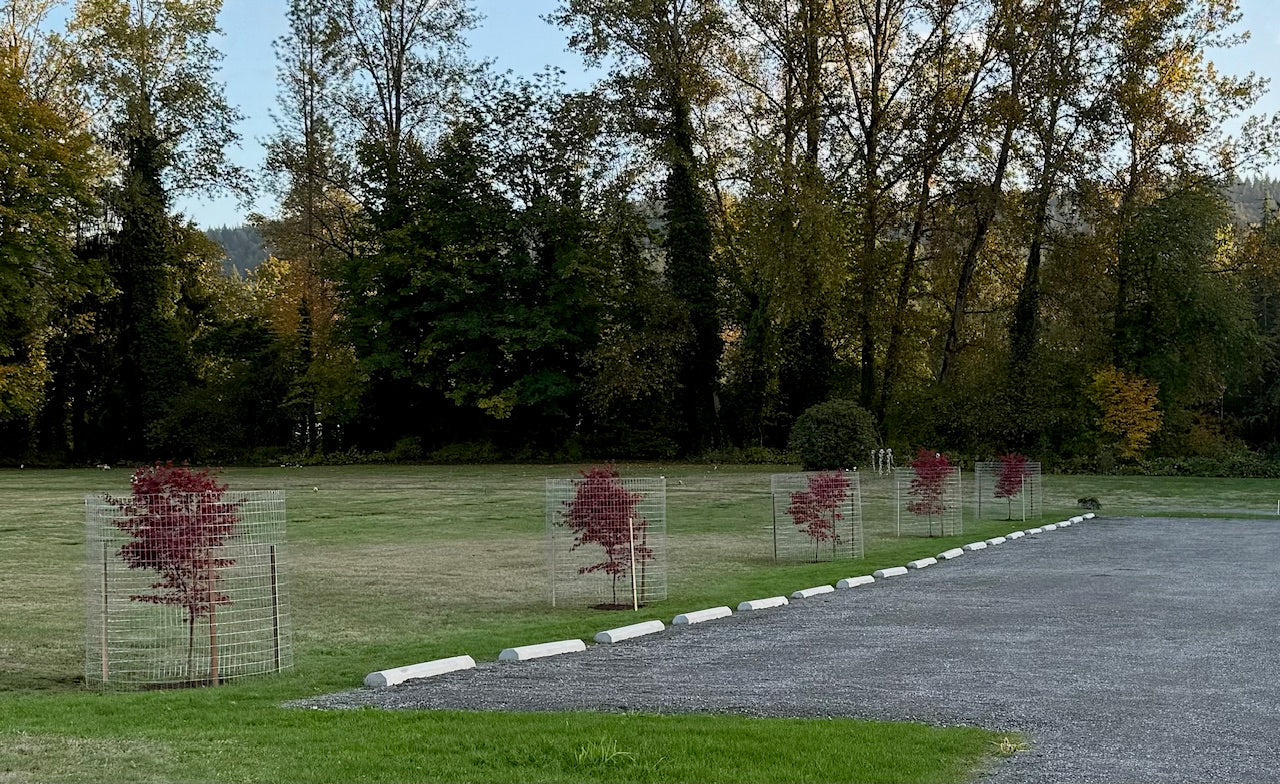 A Fresh Look for Fall City Cemetery